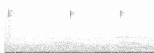 Schwarzkehl-Nachtschwalbe - ML319632821