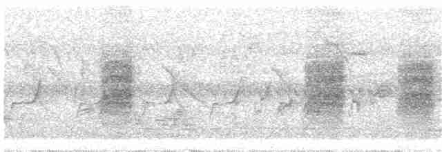 Long-tailed Shrike - ML319750441