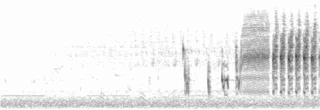 Bataklık Çıtkuşu [paludicola grubu] - ML319752361