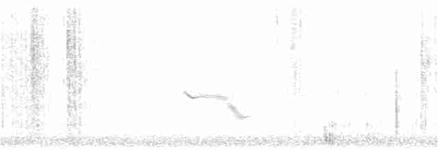 Болотный крапивник [группа paludicola] - ML319752881
