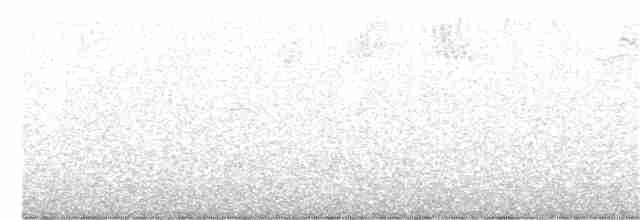 Yellow-throated Warbler - ML319759991
