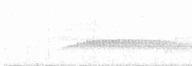 Olivaceous Woodcreeper (Grayish) - ML319791411