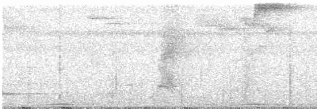 holub černošíjný - ML319931821