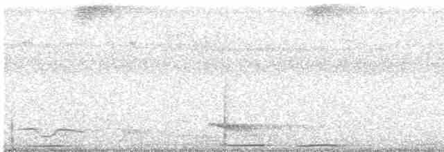holub černošíjný - ML319931881