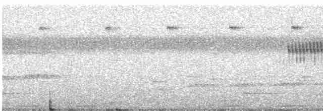 holub černošíjný - ML319932811