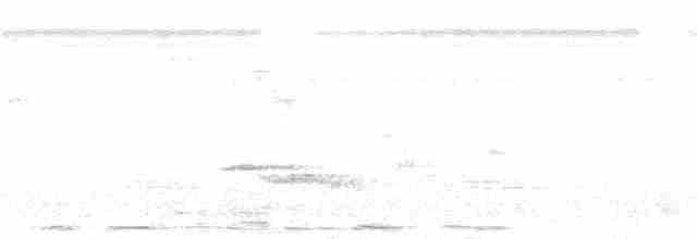 オオハリオアマツバメ - ML320013401