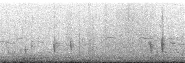 Kulaklı Karabatak - ML320022691