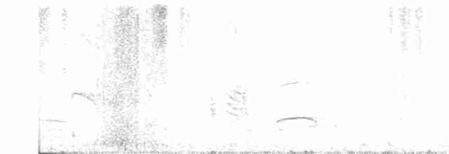 Black-chested Buzzard-Eagle - ML320106341