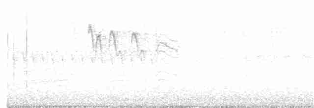 Kestane Sırtlı Baştankara - ML320115161