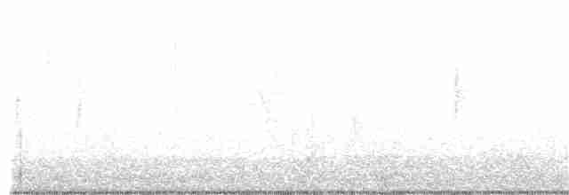 Yellow-rumped Warbler - ML320116751