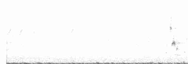 Iberian Gray Shrike - ML320207491