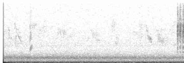 Menetries's Warbler - ML320213191