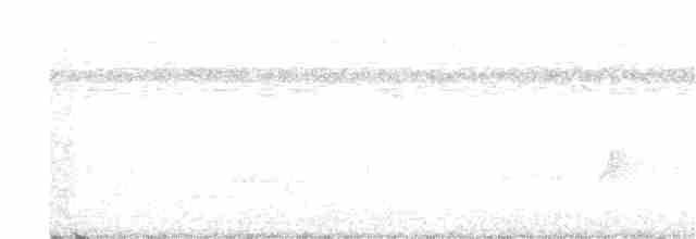 Siffleur mélanésien - ML320221861