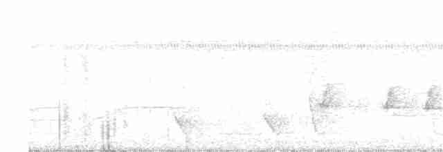 Siffleur mélanésien - ML320222501