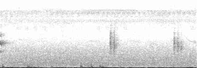 Баблер болотяний - ML32025041