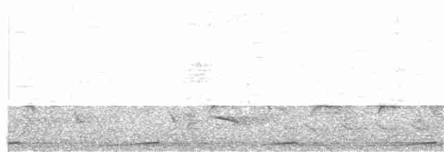 Карликовая земляная горлица - ML320274821