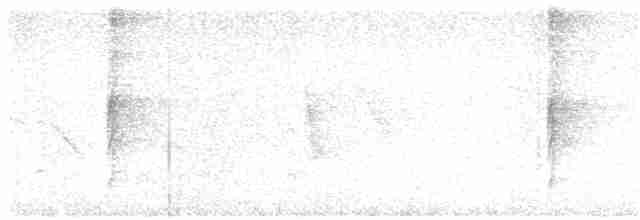 Çizgili Büyük Tiran - ML320289261