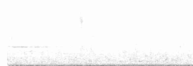 Трясогузковый певун - ML320292781