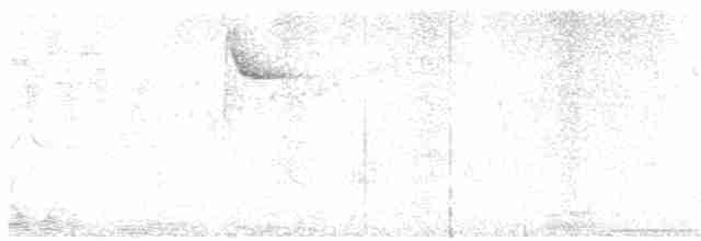 Paruline à paupières blanches - ML320294341