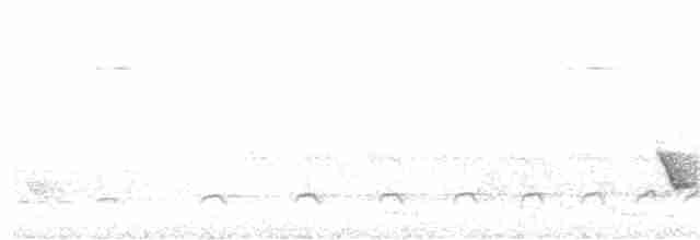 Nordamazonien-Ameisenschnäpper - ML320361071