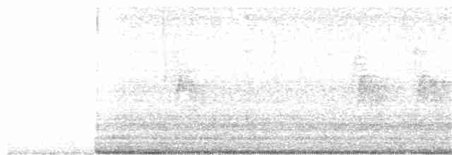 Соловьиная широкохвостка - ML320362621