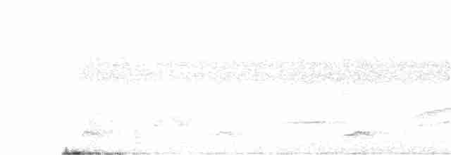 Highland Tinamou - ML320394301