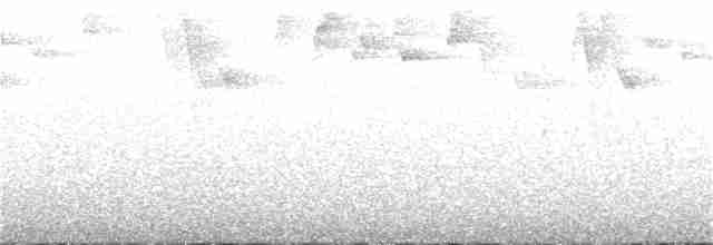 Изумрудогорлый колибри - ML320453611