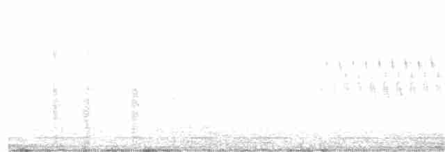 Kara Gözlü Junko (cismontanus) - ML320454031