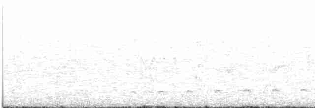 Gray-headed Kite - ML320477571
