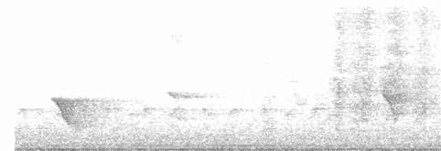 Turuncu Alınlı Papağan - ML320530221