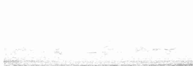 svarthaleparakitt - ML320531081