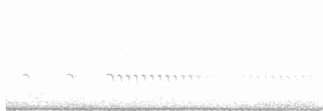 Chaparralgrasmücke - ML320536901