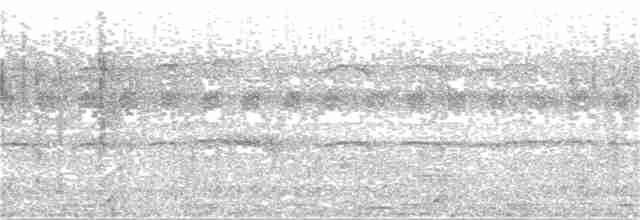 strakapoud hnědohlavý - ML320545681
