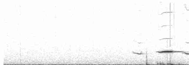 Белобровый торорой - ML320729571