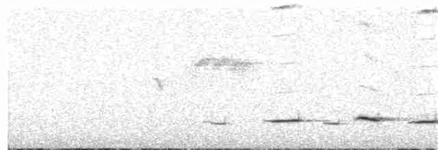 Weißbrauen-Ameisenpitta - ML320729601