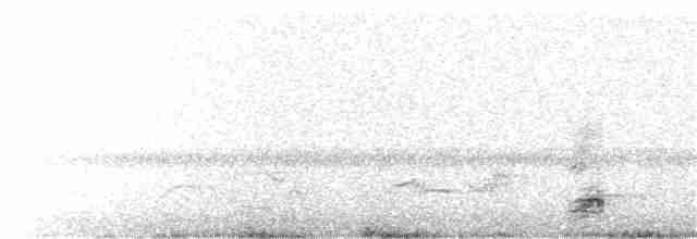 Black-crowned Night Heron - ML320781121