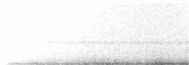 Сипуха крапчаста - ML320781501