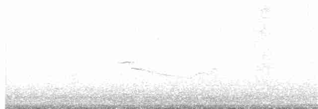 Band-winged Nightjar - ML320937081