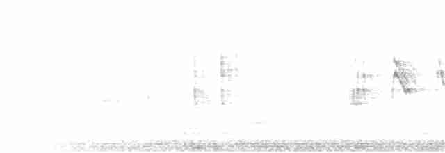strnadec kaštanový (ssp. iliaca/zaboria) - ML320940811