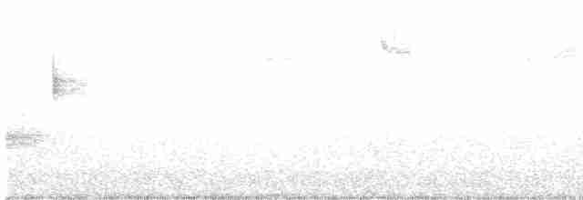 White-eyed Vireo - ML320949961