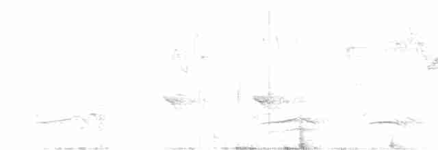 Malabar Gray Hornbill - ML320958451