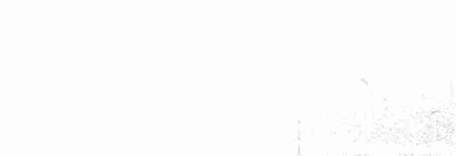 穗䳭(oenanthe/libanotica) - ML320993681