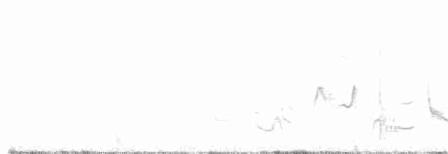 Кактусовый пересмешник - ML321051521