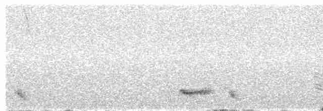 Kara Kanatlı Yer Kumrusu - ML321158761