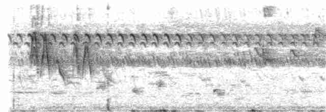 Boyalı Horoz Kekliği - ML321204091