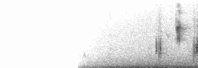 Clamorous Reed Warbler - ML321209031