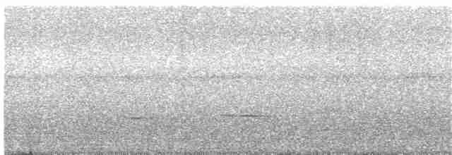 Striped Cuckoo - ML321213451