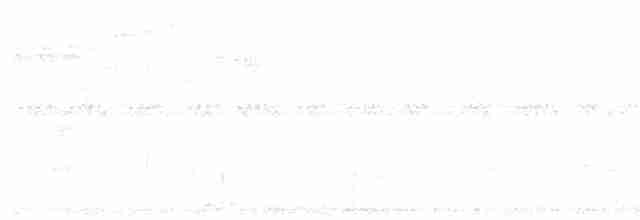svartkinnmyggeter - ML321253131
