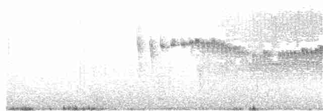 Gray-flanked Cinclodes - ML321282571