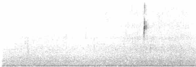 Gray-flanked Cinclodes - ML321282591